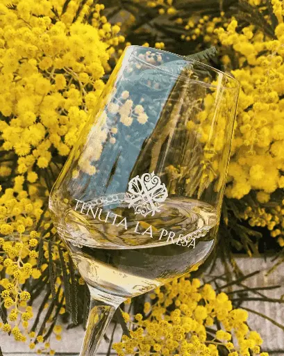 Italy, Veneto, Tenuta La Presa - Napoleone - Wine Experience