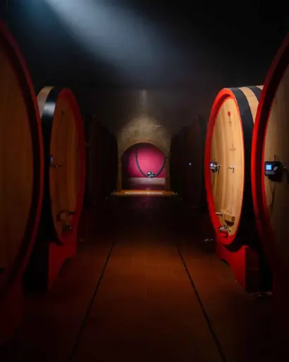 Italy, Veneto, Cantine Giacomo Montresor - Valpolicella in the glass Wine Tour and Tasting