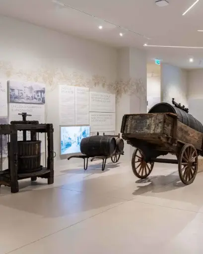 Italy, Veneto, Cantine Giacomo Montresor - Amarone to discover Wine Tour and Tasting