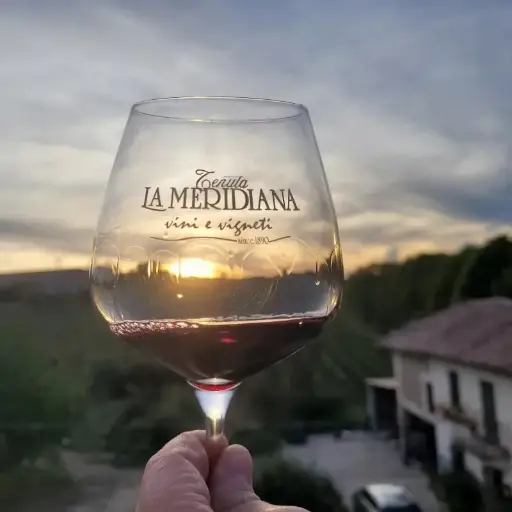 Italy, Piedmont, Tenuta La Meridiana - Wine tasting and tour
