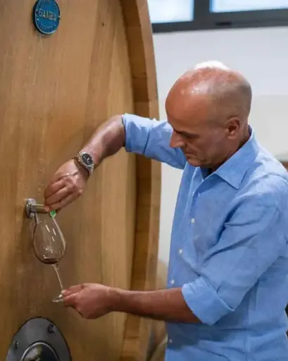 Italy, Piedmont, Alemat - Alemat Wine Tasting and Tour