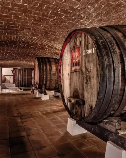 Portugal, Alentejo, Adega José de Sousa - Premium Wine Tasting 