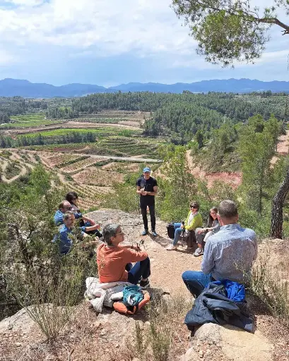Spain, Catalonia, Coca I Fito - Tasting With A View