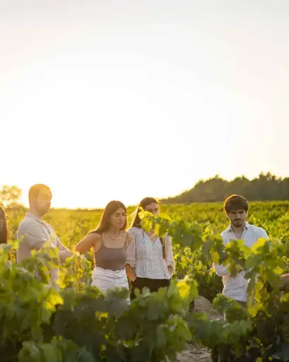 Spain, Catalonia, Vins El Cep - Visit Vins El Cep