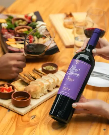 Argentina, Mendoza, Rj Viñedos - Wine and Tasting Tour ALTITUDES