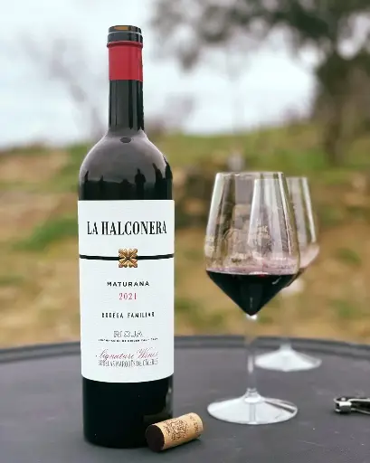 Spain, Rioja, Bodegas Marques de Caceres - Vip Visit