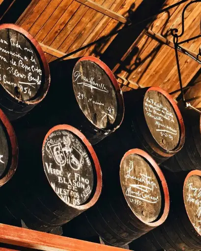 Spain, Andalusia, Bodegas Toro Albala - Luxury Experience