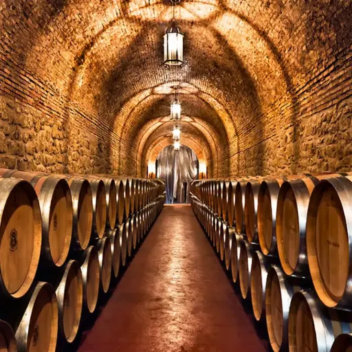 Spain, Rioja, Bodegas Riojanas - Sensation Visit and Tasting