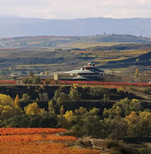 Spain, Rioja, Vivanco - Unguided Museum Visit and Winery Tour