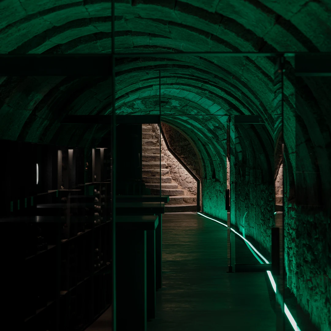 Spain, Rioja, Bodegas Tritium - Tritium Singular visit 