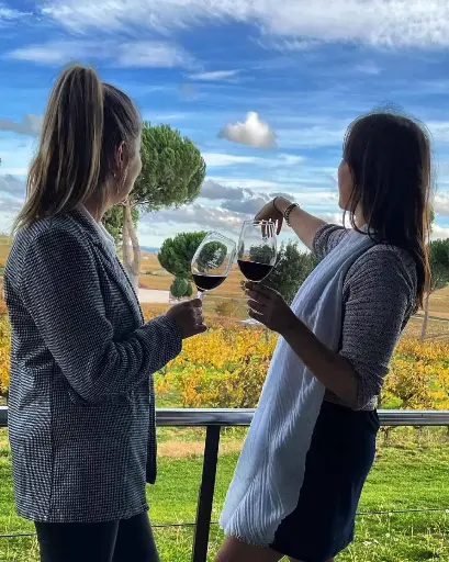 Spain, Castilla and Leon, Vina Pedrosa - Bodegas Hermanos Pérez Pascuas - Guided tour and tasting of 2 wines