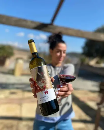 Spain, Valencia, Bodegas Francisco Gomez - Enologic Route