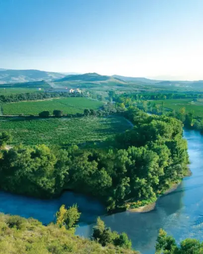 Spain, Rioja, FINCA VALPIEDRA - "CANTOS" VISIT