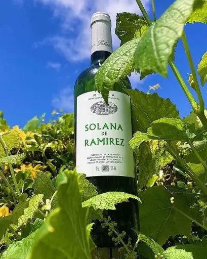 Spain, Rioja, Bodegas Solana De Ramirez -  Wine tasting