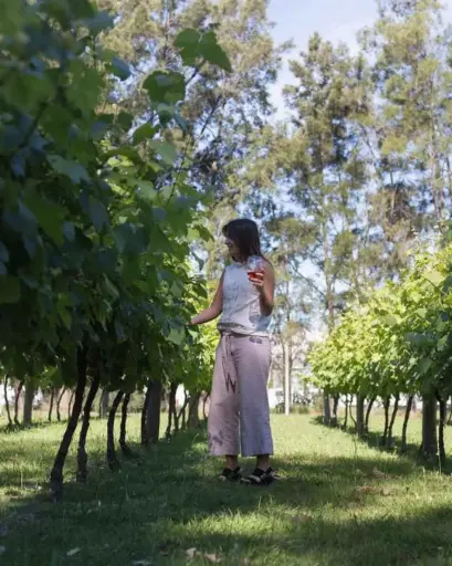 Uruguay, Montevideo, Bodegas Carrau - Tour "Grandes Reservas"