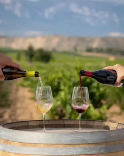 Spain, Rioja, Bodegas Amézola de la Mora - Make your own wine