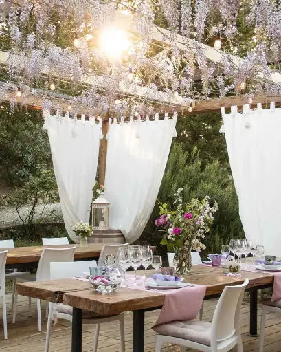 Italy, Tuscany, Casa Lucii - Mareterra - Wine Tasting & Tour