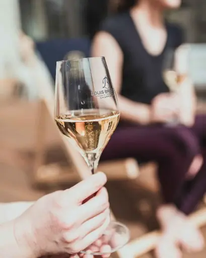 France, Champagne, Champagne Louis Brochet - Behind the Bubbles