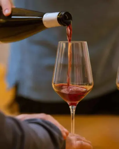 France, Alsace, Domaine Pierre Adam - Discovery Tasting