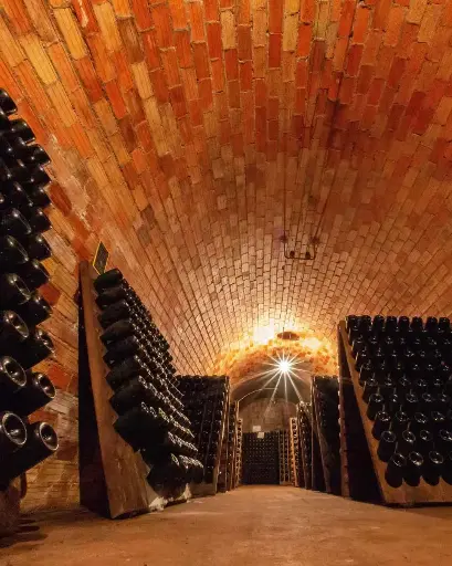 France, Champagne, Champagne Michel Fagot - Collector's Visit