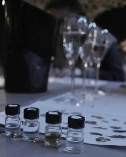 France, Champagne, Domaine Julien Chopin - Aromas workshop