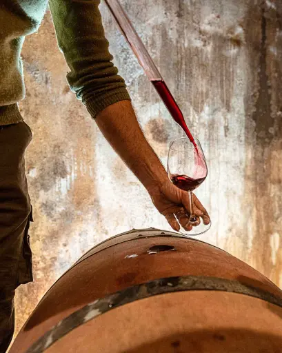 Italy, Tuscany, Gli Archi -  Tuscany Wines By The Natural Rhythms Of The Vine - Tasting 3 Wines