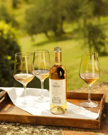 Italy, Tuscany, Castello Di Albola - Guided Tour and Classic Tasting