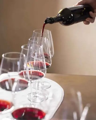 Italy, Tuscany, Ruffino 1877 - MASTERY SINCE 1877