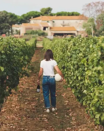 Italy, Tuscany, Le Vigne di Silvia - Welcome to Le Vigne di Silvia