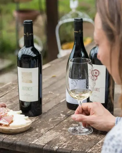 Italy, Tuscany, Le Vigne di Silvia - Wines and flavours of the Bolgheri area