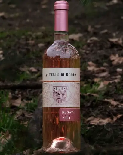 Italy, Tuscany, Castello Di Radda -  Advanced Tasting of Castello di Radda finest wines