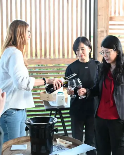 France, Bordeaux, Clos Systey - Wine, Land & Passion in Saint-Émilion