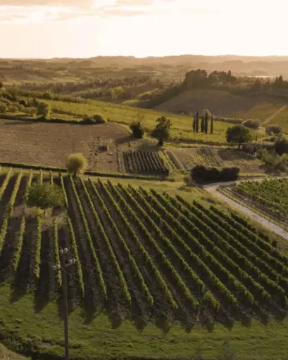 Italy, Tuscany, Fattoria San Michele a Torri - Tour & Tasting with light lunch