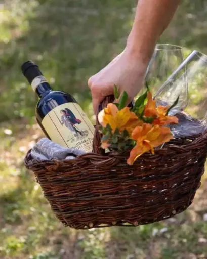 Italy, Tuscany, Fattoria San Michele a Torri - Romantic Picnic in Vineyard