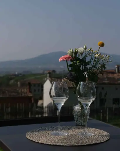 Italy, Veneto, Azienda Agricola Rivaluce Winery - Heritage in a glass experience
