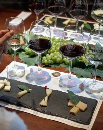 Italy, Tuscany, Camigliano - Cheese And Wine Tasting