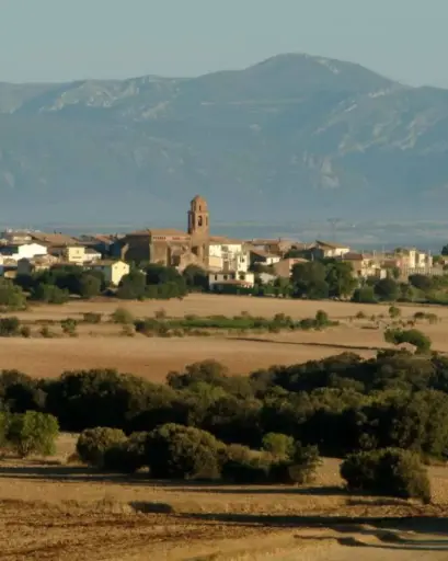 Spain, Somontano, Bodegas Osca - Visit and Tasting at the oldest wine cellar in Spain