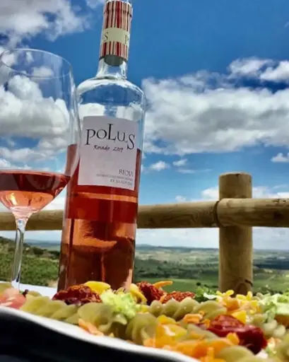 Spain, Rioja, Bodegas Loli Casado - Premium tasting in winery