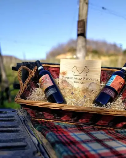 Italy, Tuscany, Podere Della Bruciata - Wine Tasting At The Panoramic Terrace