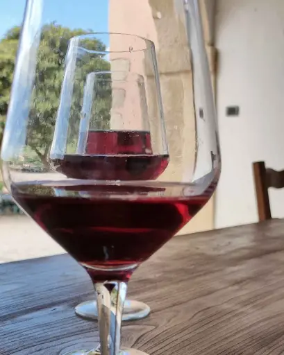 Italy, Veneto, Corte Archi - Vertical Amarone