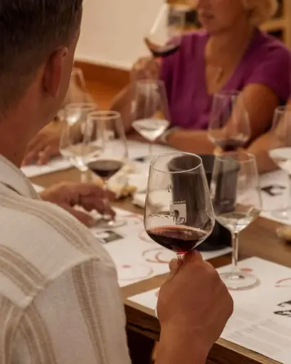 Italy, Tuscany, Fattoria Casalbosco - The Art of Wine: A Tasting Journey at Casalbosco