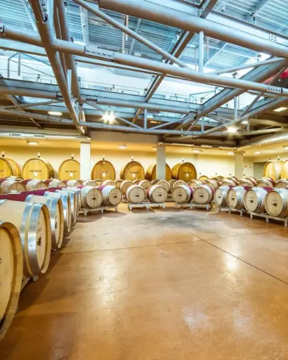 Italy, Tuscany, Icario - Platinum Tour & Tasting Experience