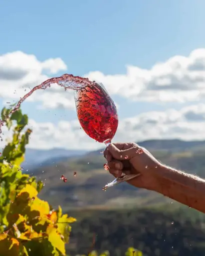 Portugal, Douro, Quinta Da Pedra Alta - Classic Visit and Tasting