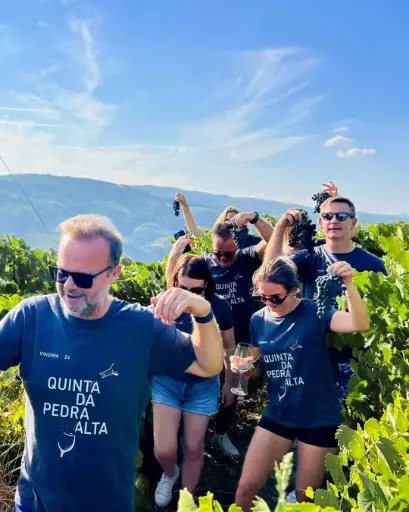 Portugal, Douro, Quinta Da Pedra Alta - Premium Visit and Tasting