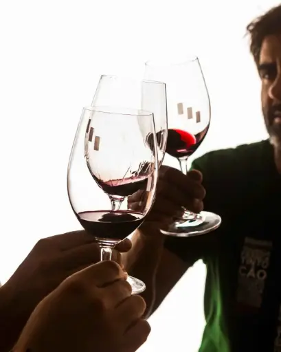 Portugal, Douro, Quinta Da Pedra Alta - Premium Visit and Tasting