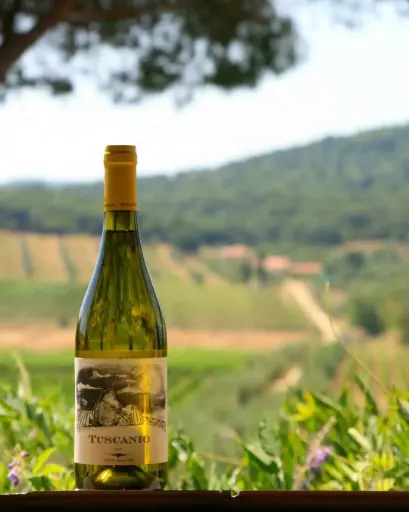 Italy, Tuscany, Tenuta Biologica Bulichella - Discovering Bulichella