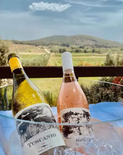 Italy, Tuscany, Tenuta Biologica Bulichella - The treasures of Bulichella