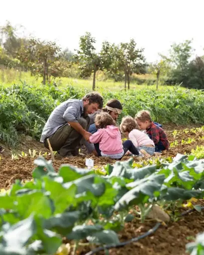 Italy, Tuscany, Fattoria San Michele a Torri - Live the farm