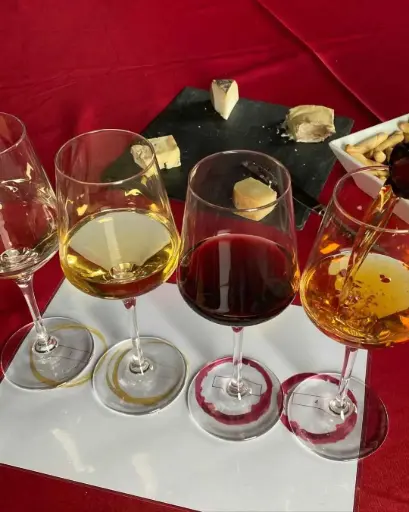 Spain, Catalonia, Bodegas Torre Del Veguer - Wine pairing & Cheeses