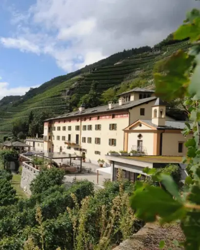 Italy, Lombardy, Casa Vinicola Triacca - Tenuta La Gatta - Guided Visit with Tasting